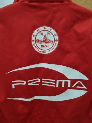 Chaleco Prema Theodore Racing 2018