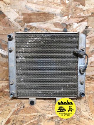 Radiador Polaris Sportsman 500 2012