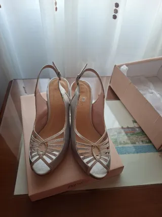 Zapatos de fiesta plateados