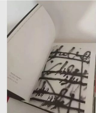 Libro arte Alfredo Rapetti Mogol