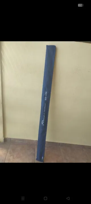 Caña de pescar Daiwa Prime caster 30-425