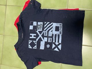 Polo Ralph Lauren y Tommy Niño en lote