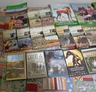 Lote Cintas HD y Cds Cacería Libros