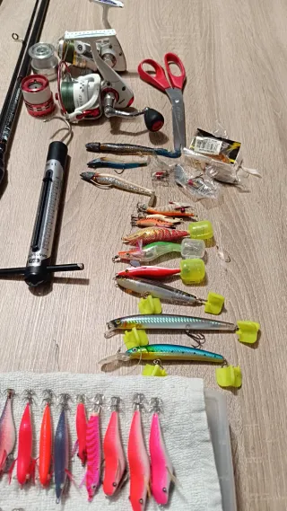 Lotes de pesca: cañas, carretes y señuelos