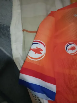 Maillot Oficial Países Bajos 2024