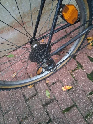 Bicicleta Top Bike Shimano 300 LX