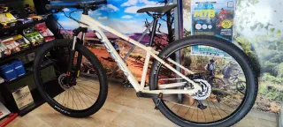 Bicicleta MTB Orbea Onna 40 29"