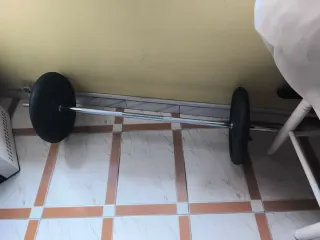 Barra y 2 discos de pesas 20kg