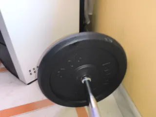 Barra y 2 discos de pesas 20kg