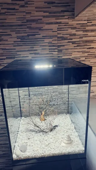 Acuario Diseño Columna Negro Transparente