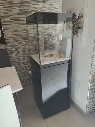 Acuario Diseño Columna Negro Transparente