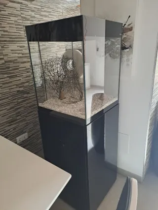 Acuario Diseño Columna Negro Transparente