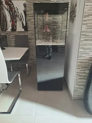 Acuario Diseño Columna Negro Transparente