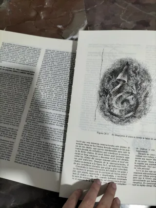 Manos Que Curan/ Hands of Light (Spanish Edition)