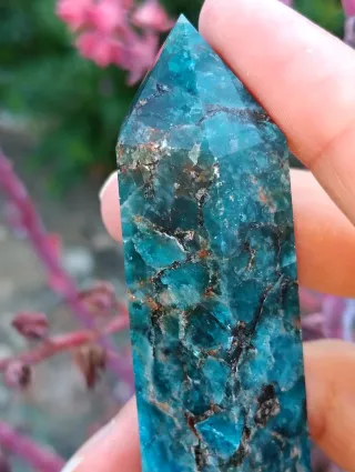 Torre de Apatito Azul Alta Calidad Oferta