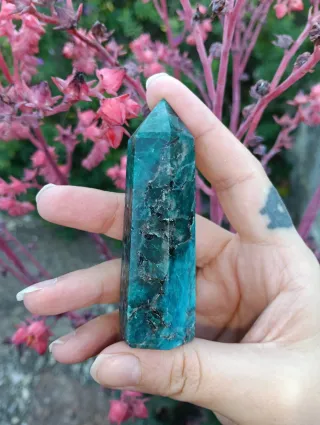 Torre de Apatito Azul Alta Calidad Oferta