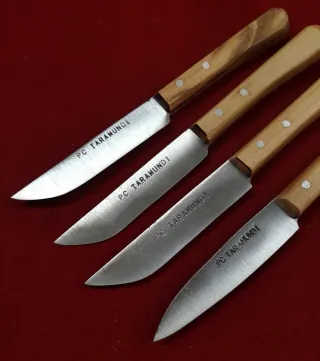 Confezione da 4 coltelli da tavola Bermudez