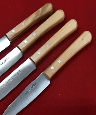Confezione da 4 coltelli da tavola Bermudez
