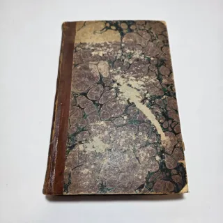 Libro antico Principj di Scienza Nuova di Vico