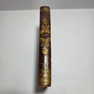 Libro antico Principj di Scienza Nuova di Vico