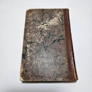 Libro antico Principj di Scienza Nuova di Vico