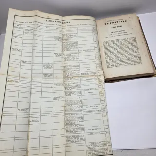 Libro antico Principj di Scienza Nuova di Vico