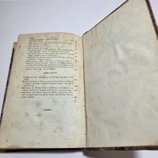 Libro antico Principj di Scienza Nuova di Vico