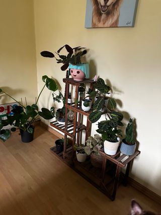 Estantería de madera para plantas