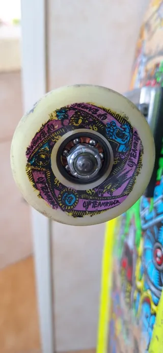 Tabla Santa Cruz Roskopp Reissue