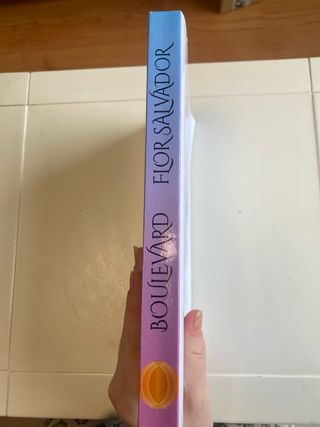 Boulevard (Spanish Edition)