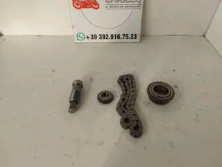 Catena distribuzione BMW S 1000 XR K69