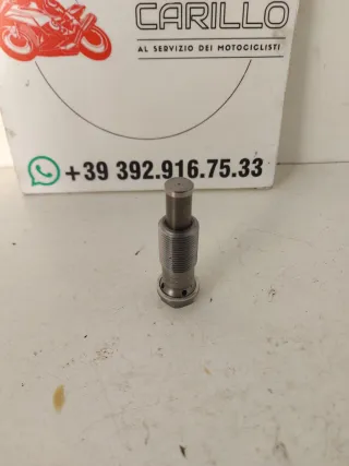 Catena distribuzione BMW S 1000 XR K69