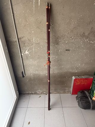Canna da pesca + 2 mulinelli