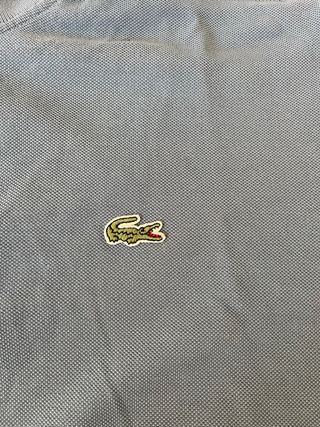 Polo Lacoste Azzurro Taglia M