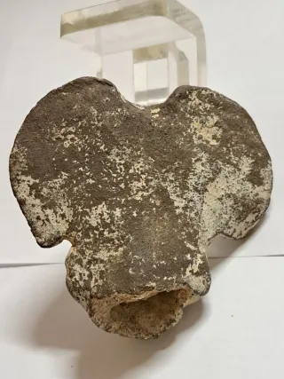 Guerrero Azteca con certificado de autenticidad