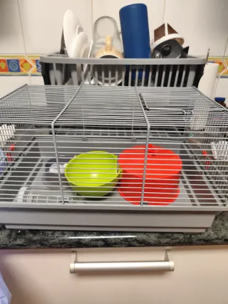 Gabbie per criceti di varie dimensioni