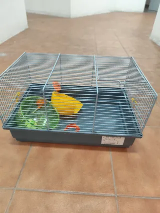 Gabbie per criceti di varie dimensioni