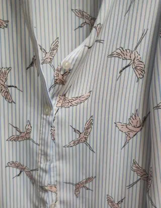 Camisa Rayas y Pájaros Rosa