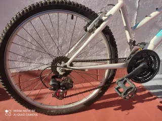 Bicicleta Teens 24sx