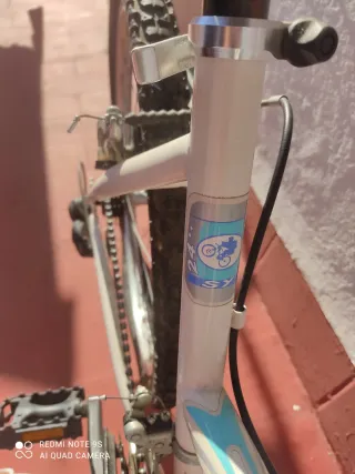 Bicicleta Teens 24sx