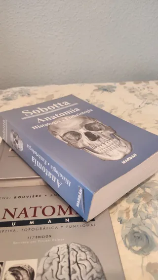 SOBOTTA. Esquemas de Anatomia - Histologia - Embri