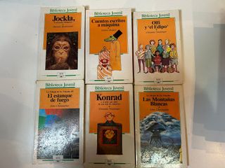 Lote Biblioteca Juvenil (6 libros)