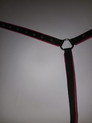 Set Sella Americana + Sottosella + Pettorale