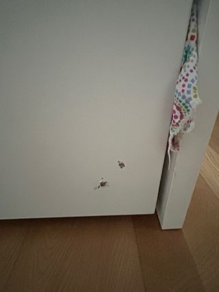 Cama nido con cajones