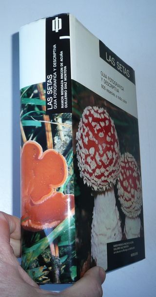Lote de 2 libros sobre setas