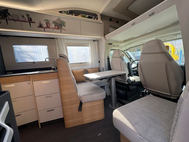 ADRIA CORAL XL 660 SL