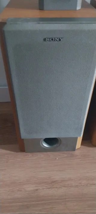 Altavoces Sony Marrones y Grises