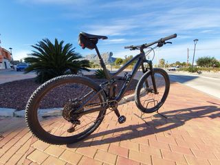 Bicicleta Montagna MTB Carbono