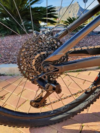 Bicicleta Montagna MTB Carbono