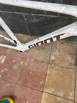 Cuadro Giant Propel Advanced Pro Talla M 2024